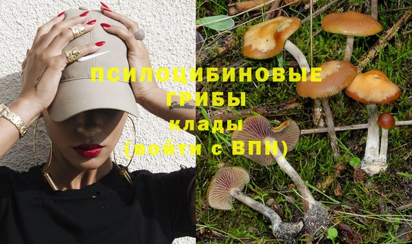 стафф Лабытнанги