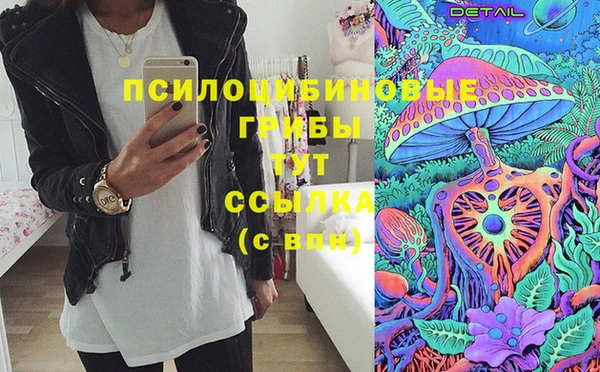 ешки Лагань