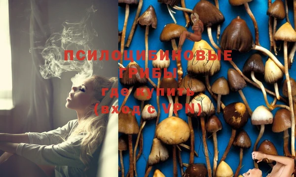 ешки Лагань
