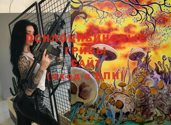 стафф Лабытнанги