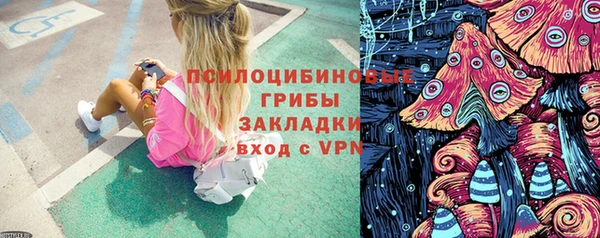 ешки Лагань